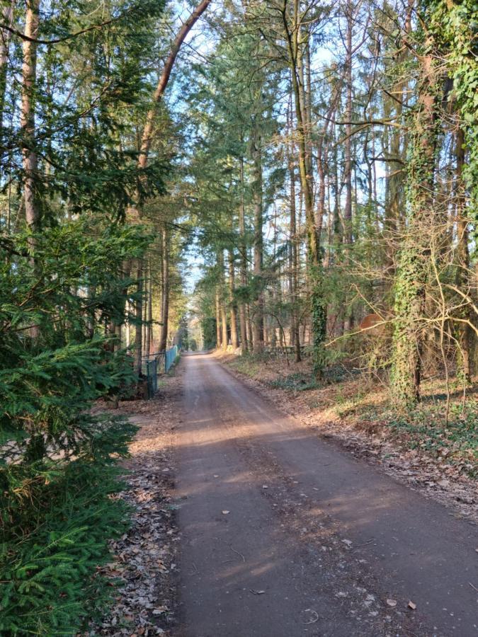Waldhaus Doetlingen Ferienhaus Im Naturpark エクステリア 写真