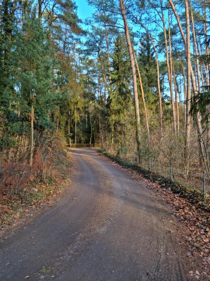 Waldhaus Doetlingen Ferienhaus Im Naturpark エクステリア 写真