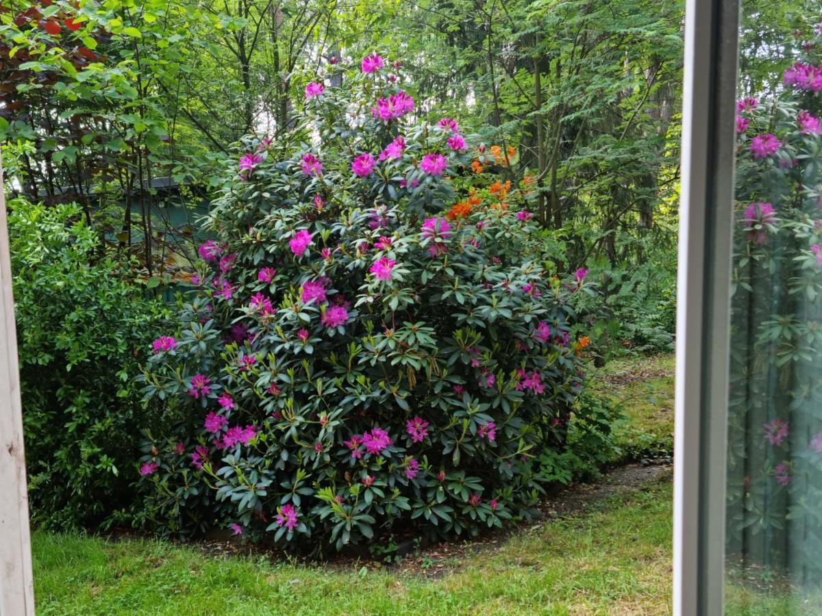 Waldhaus Doetlingen Ferienhaus Im Naturpark エクステリア 写真